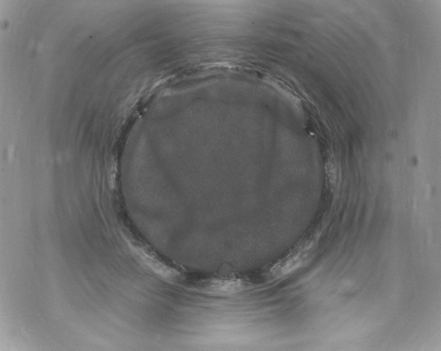 X0000070410458200607072313