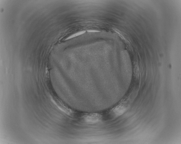 X0000070410459200607072313