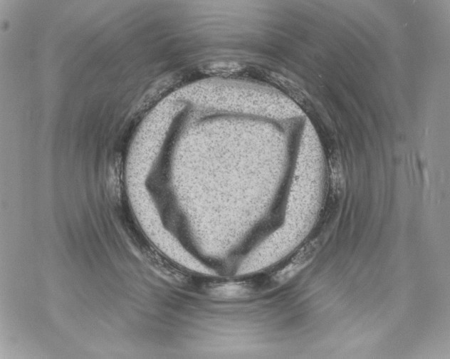 X0000070410460200607072313