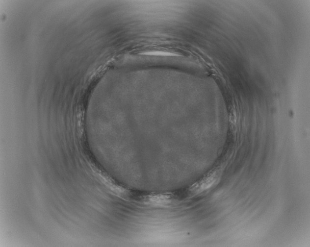 X0000070410462200607072313