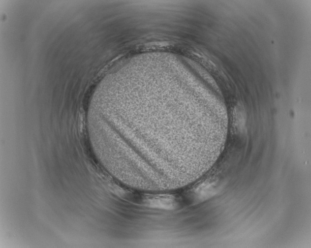 X0000070410463200607072313