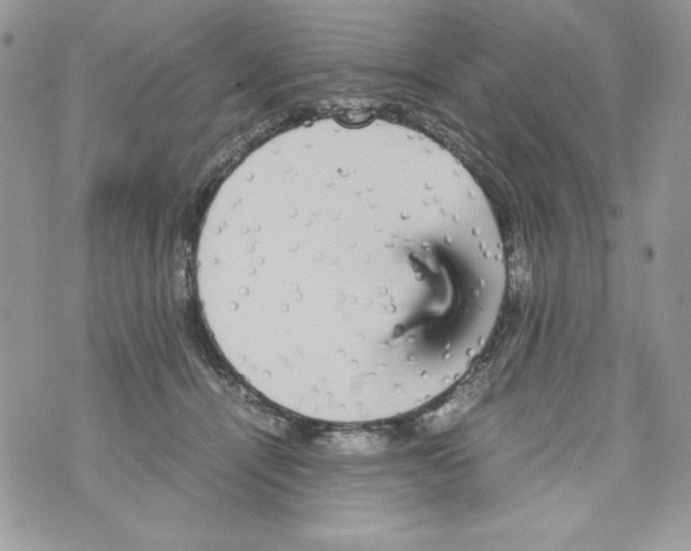 X0000070410464200607072313