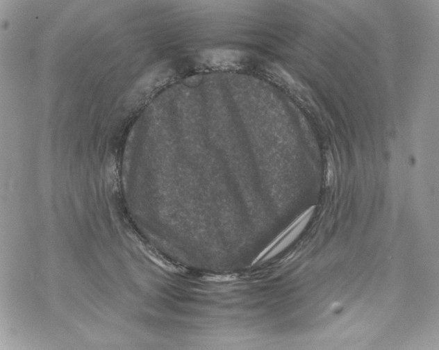 X0000070410465200607072313