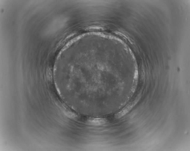 X0000070410467200607072313