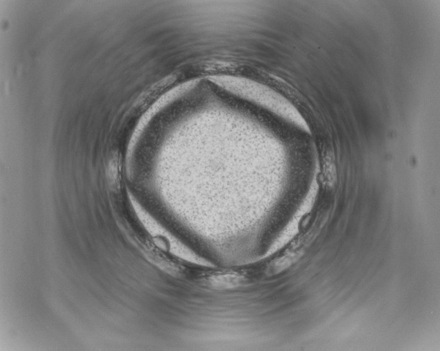 X0000070410468200607072313