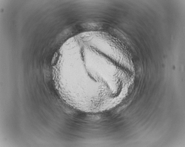 X0000070410469200607072313