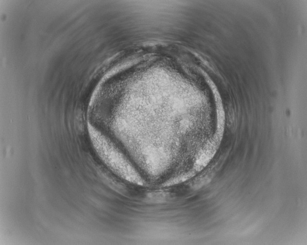 X0000070410470200607072313