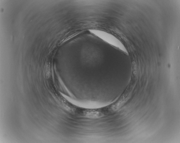 X0000070410471200607072313