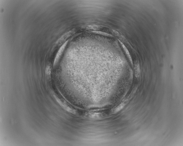 X0000070410472200607072313