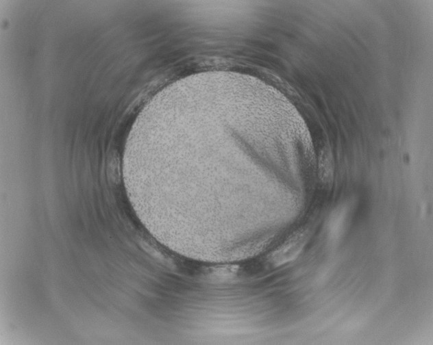 X0000070410474200607072314