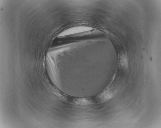 X0000070410475200607072314