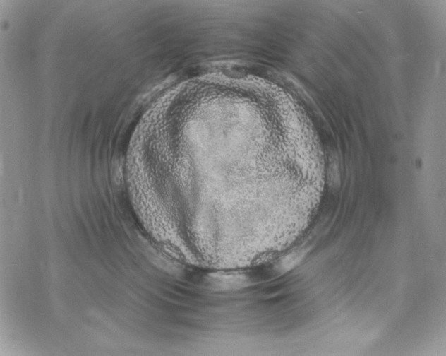 X0000070410477200607072314