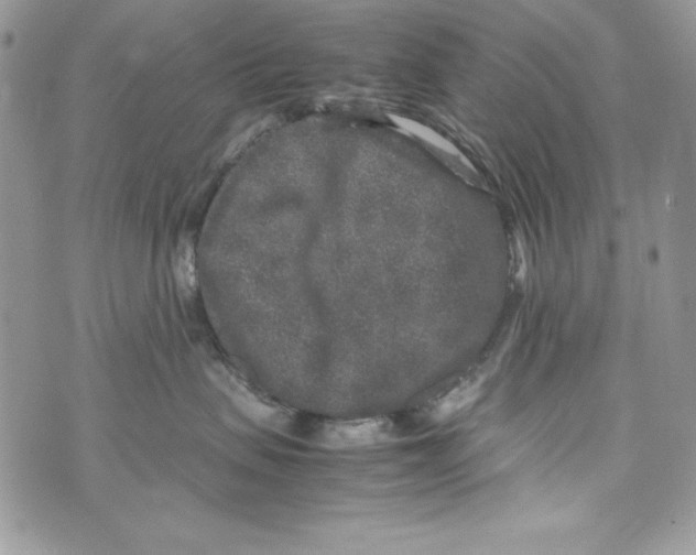 X0000070410479200607072314