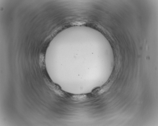 X0000070410480200607072314