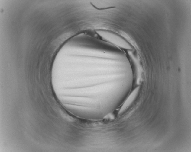 X0000070410481200607072313