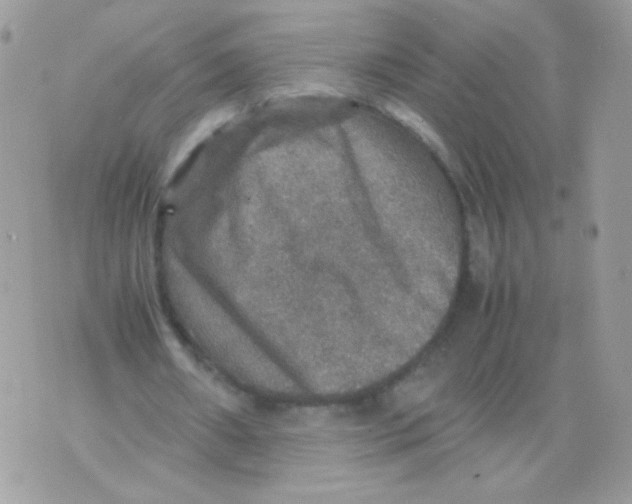 X0000070410482200607072313