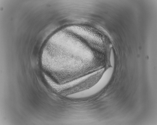 X0000070410483200607072313