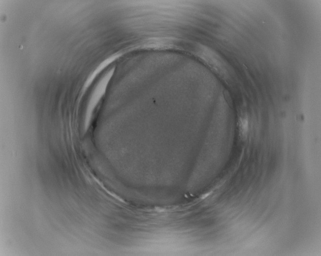 X0000070410484200607072313