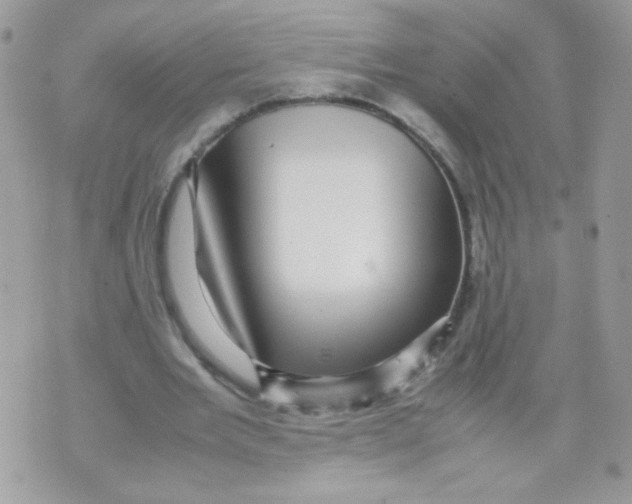 X0000070410485200607072313