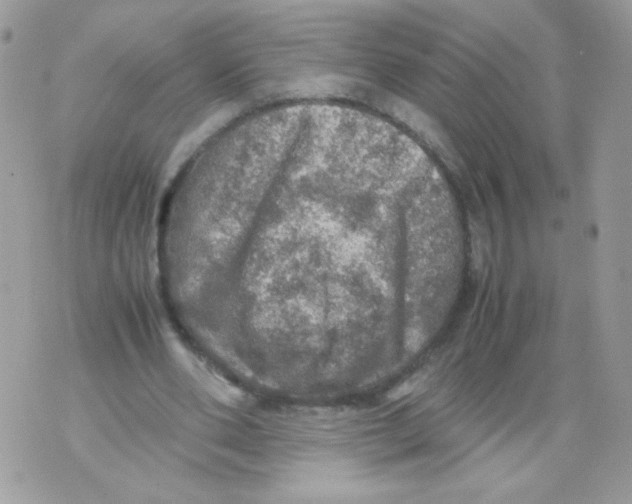 X0000070410486200607072313