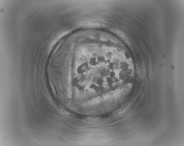 X0000070410487200607072313