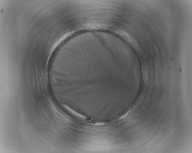 X0000070410488200607072313