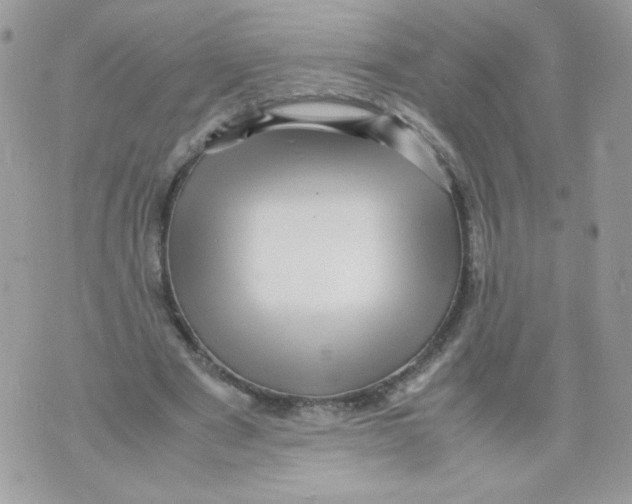 X0000070410489200607072313