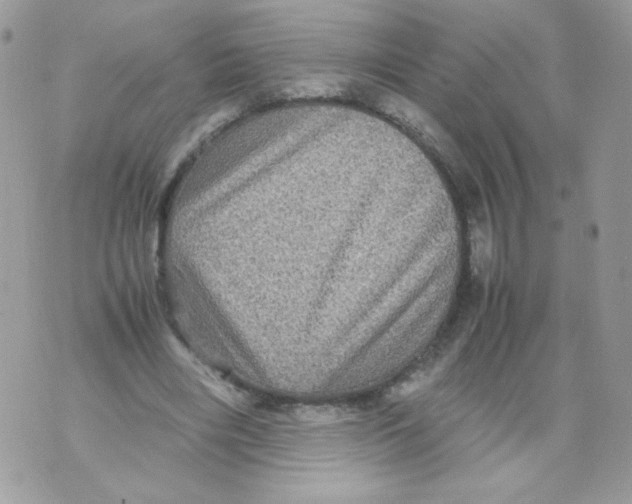 X0000070410490200607072313