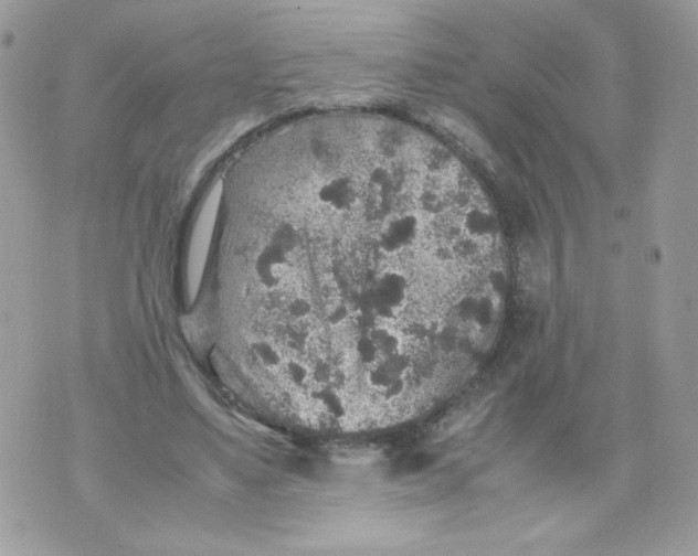 X0000070410491200607072313