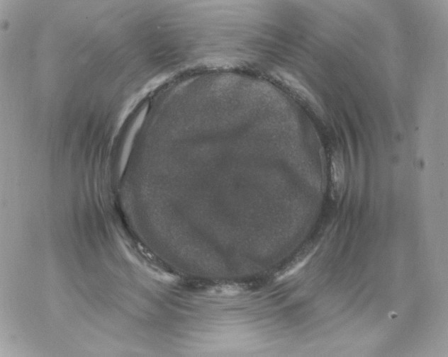 X0000070410492200607072313