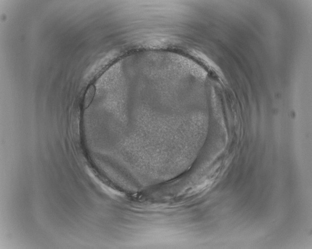 X0000070410493200607072313