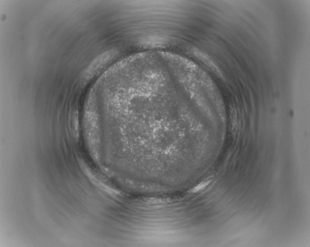 X0000070410494200607072313