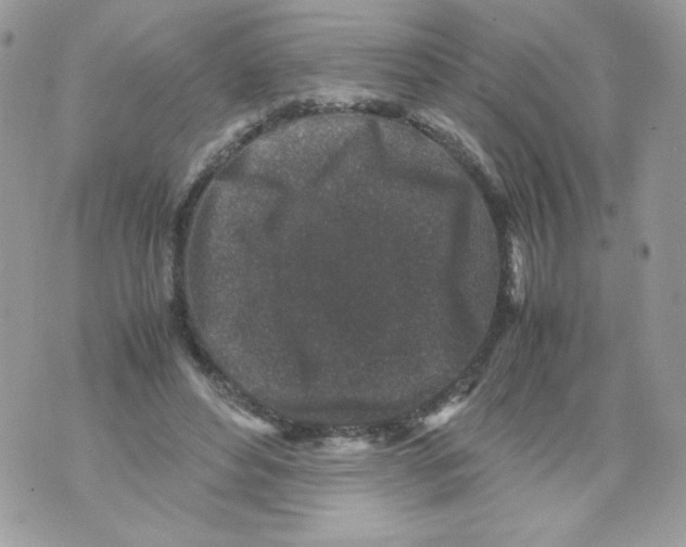 X0000070410496200607072313