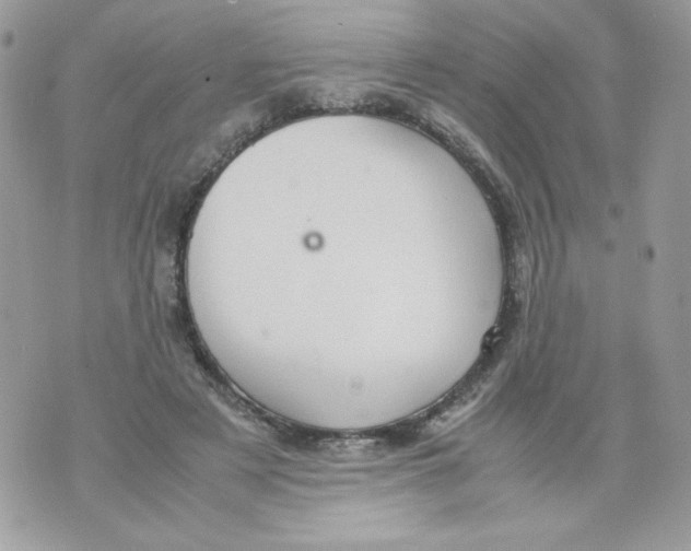 X0000070410497200607072313