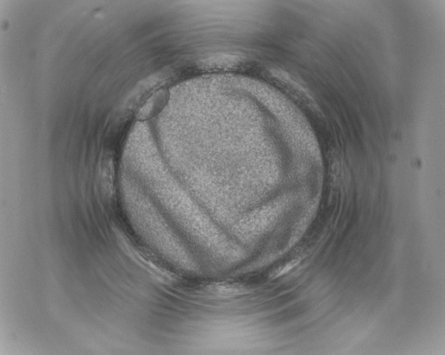 X0000070410498200607072313