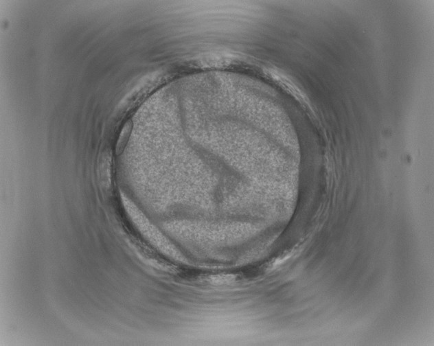 X0000070410501200607072313