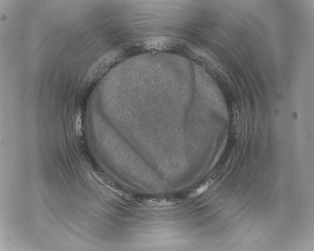 X0000070410502200607072312