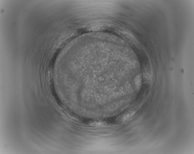 X0000070410503200607072312