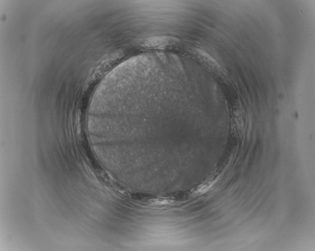 X0000070410504200607072312