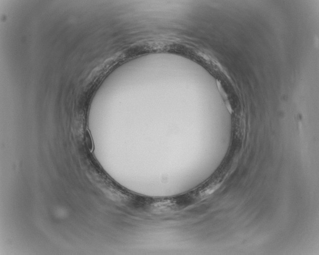 X0000070410505200607072312