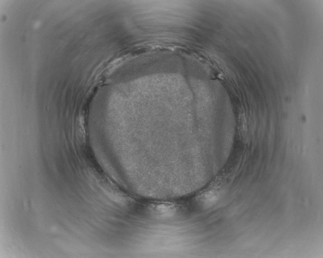 X0000070410506200607072312