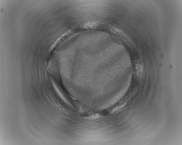 X0000070410508200607072312