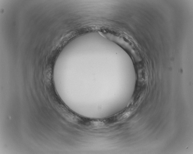 X0000070410509200607072312