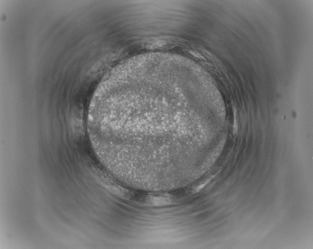 X0000070410510200607072312