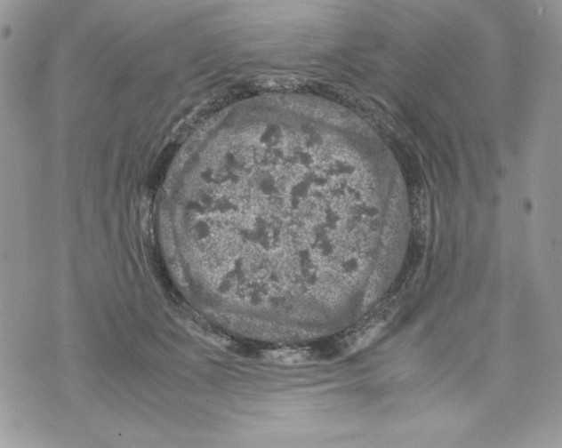 X0000070410511200607072312