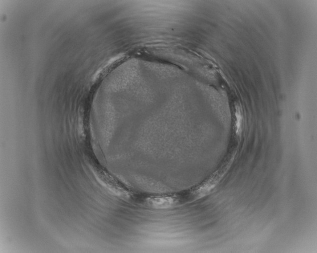 X0000070410512200607072312