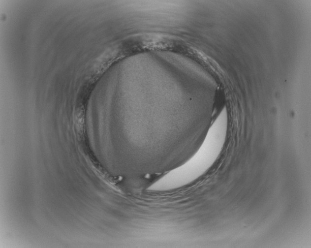 X0000070410513200607072312