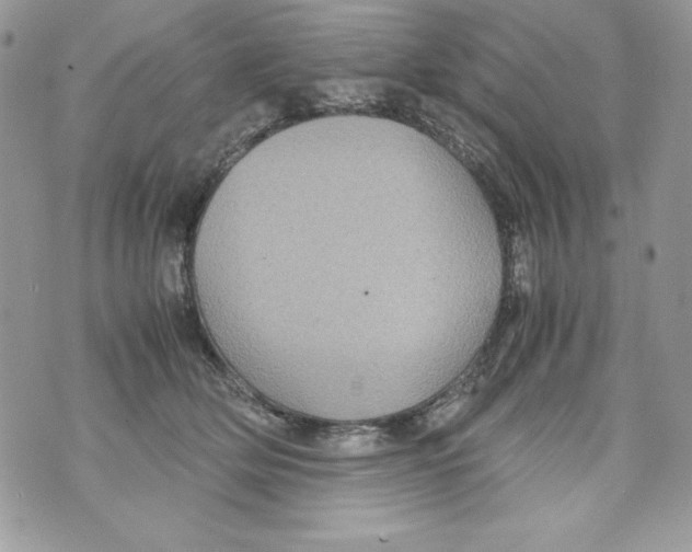 X0000070410514200607072312