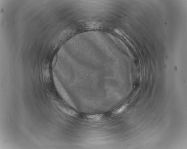 X0000070410516200607072312