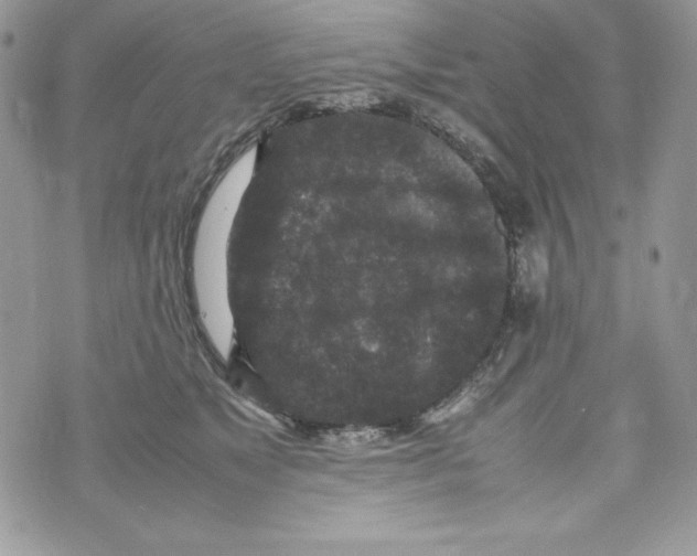 X0000070410517200607072312